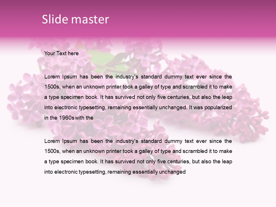 Beauty Lilac Branch PowerPoint Template