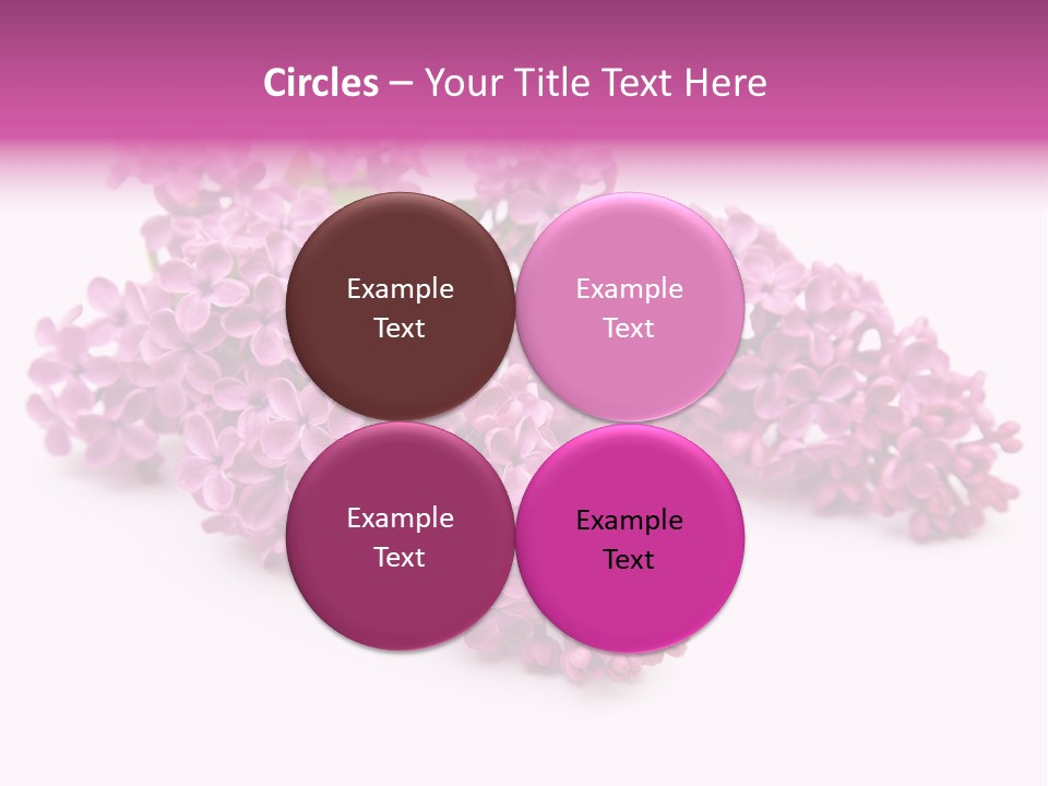 Beauty Lilac Branch PowerPoint Template