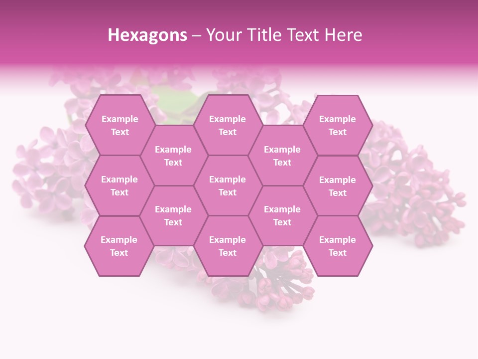 Beauty Lilac Branch PowerPoint Template
