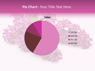 Beauty Lilac Branch PowerPoint Template