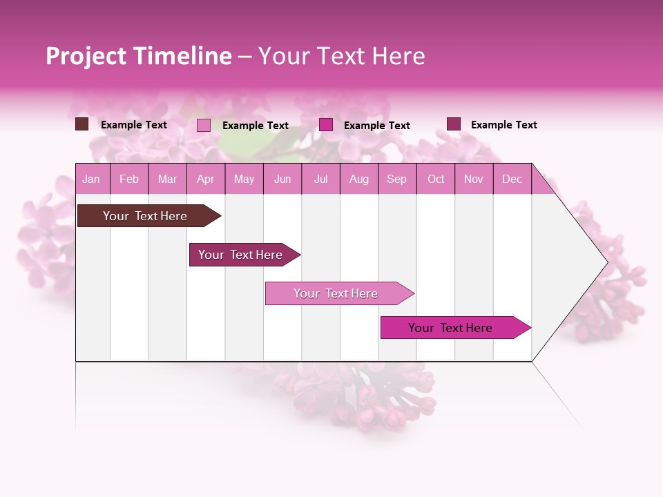 Beauty Lilac Branch PowerPoint Template