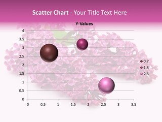 Beauty Lilac Branch PowerPoint Template