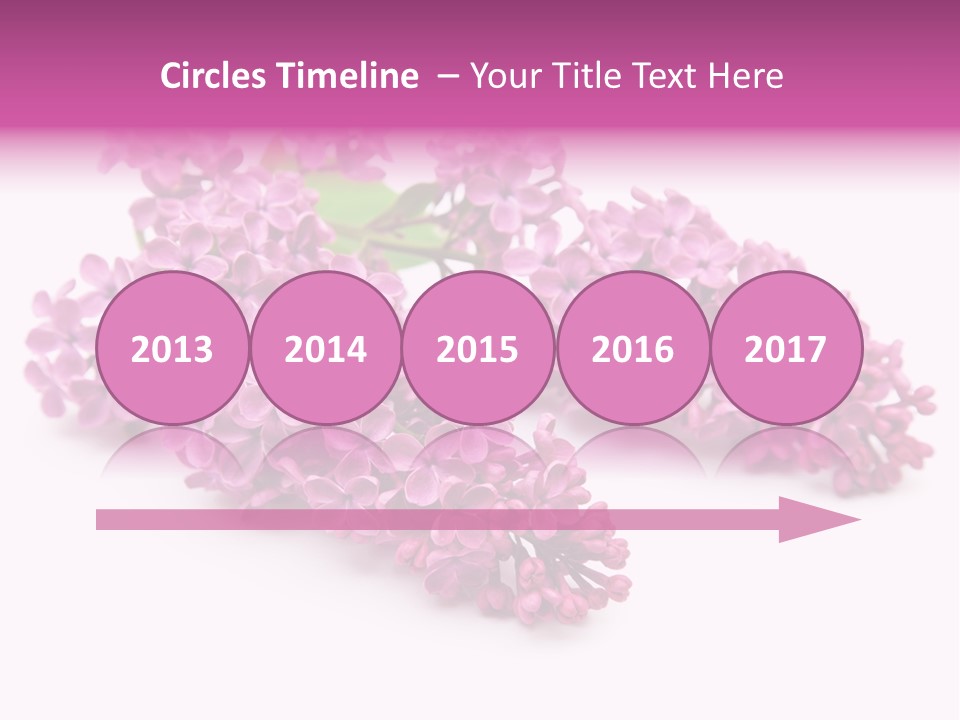 Beauty Lilac Branch PowerPoint Template