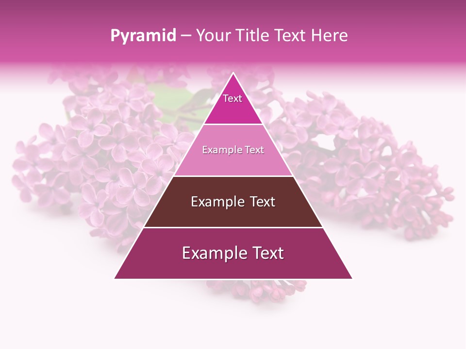 Beauty Lilac Branch PowerPoint Template