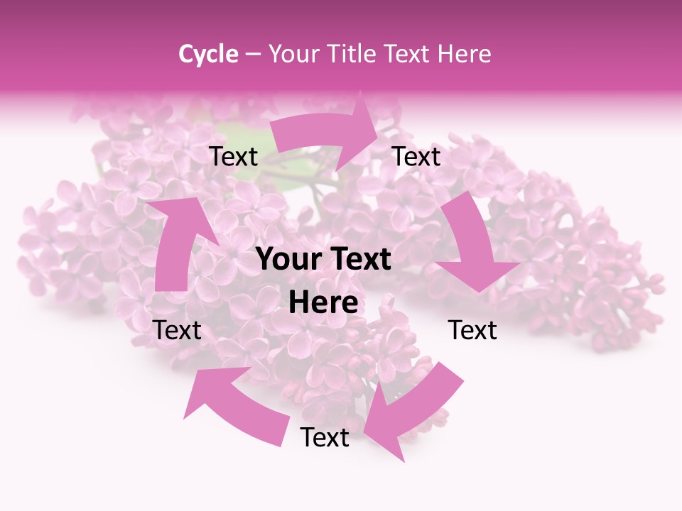 Beauty Lilac Branch PowerPoint Template
