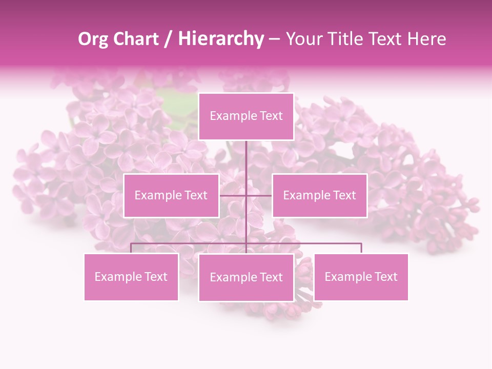 Beauty Lilac Branch PowerPoint Template