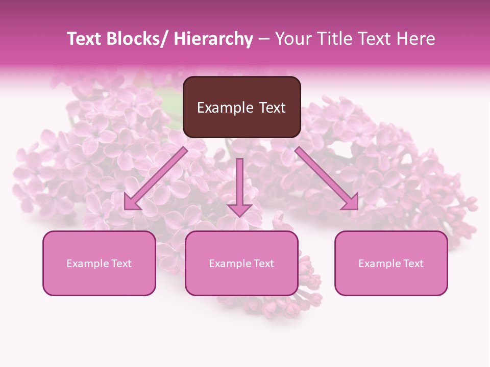 Beauty Lilac Branch PowerPoint Template
