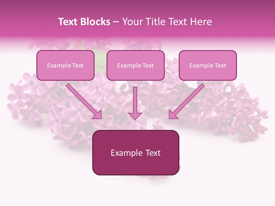 Beauty Lilac Branch PowerPoint Template