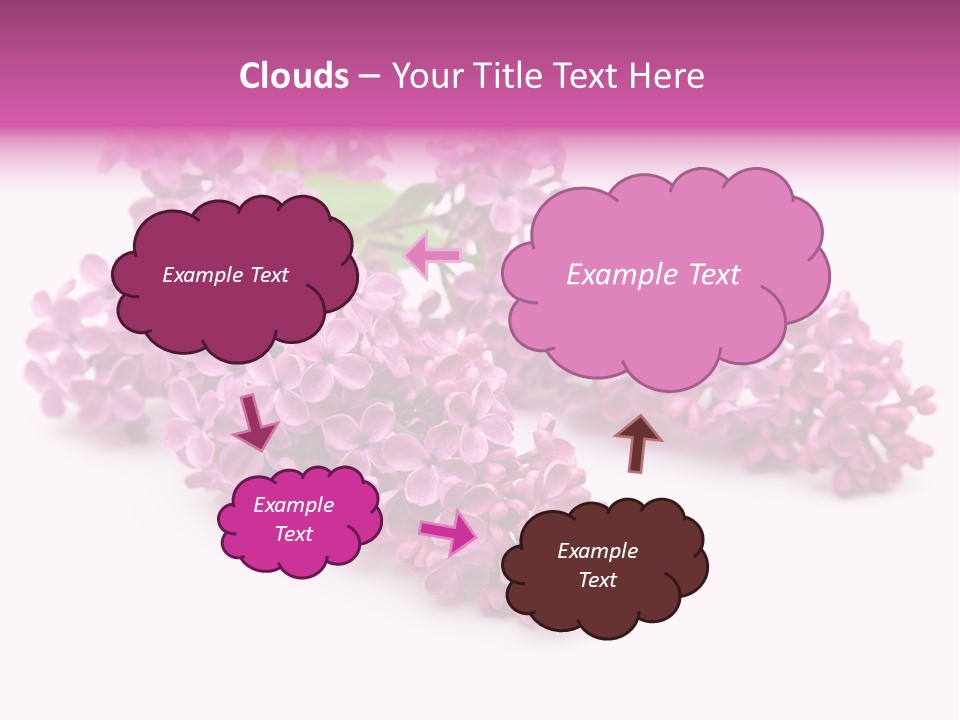 Beauty Lilac Branch PowerPoint Template