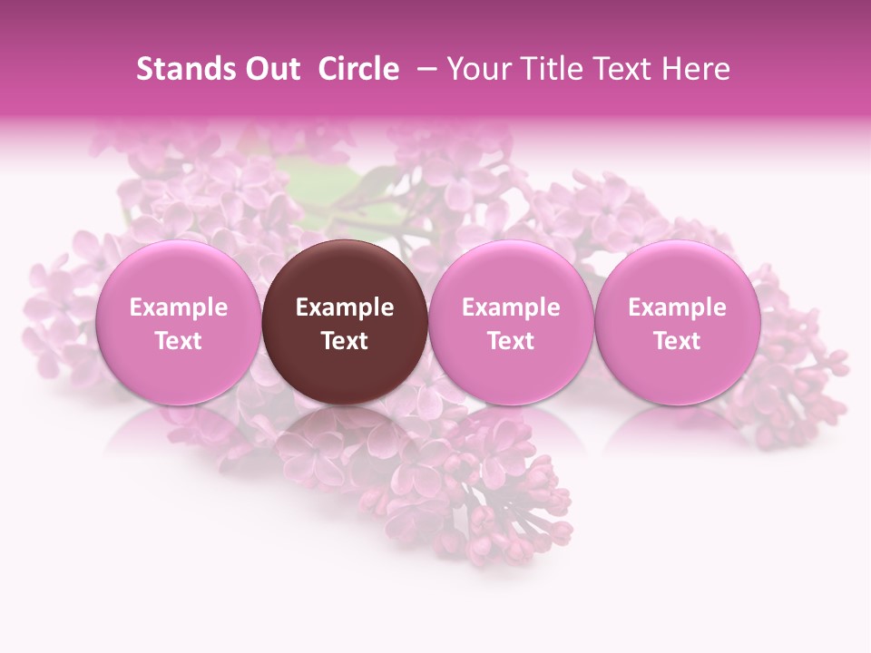 Beauty Lilac Branch PowerPoint Template