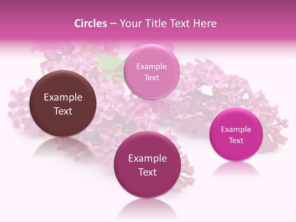 Beauty Lilac Branch PowerPoint Template