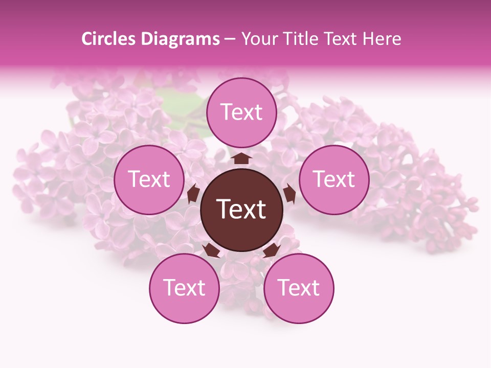 Beauty Lilac Branch PowerPoint Template
