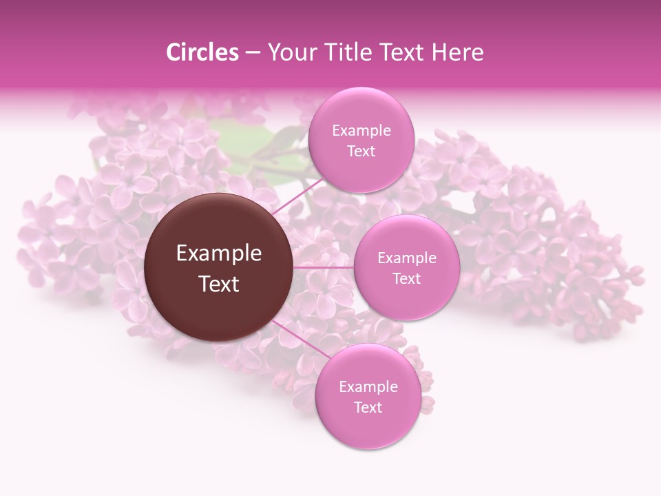 Beauty Lilac Branch PowerPoint Template