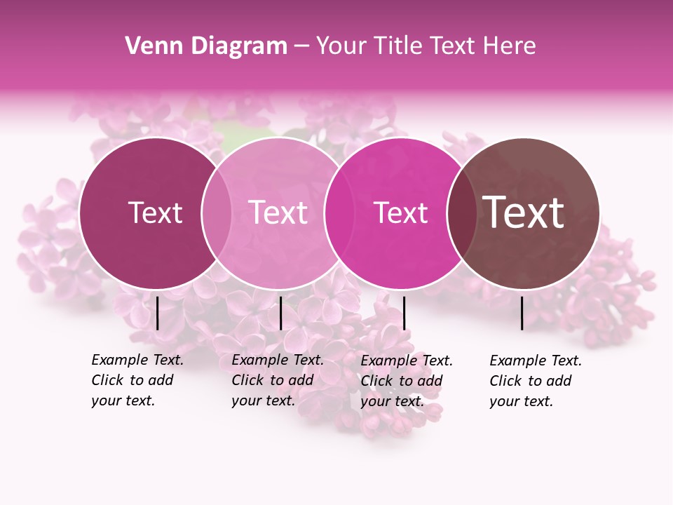 Beauty Lilac Branch PowerPoint Template