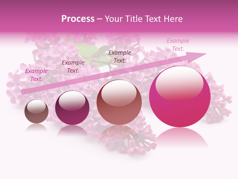 Beauty Lilac Branch PowerPoint Template