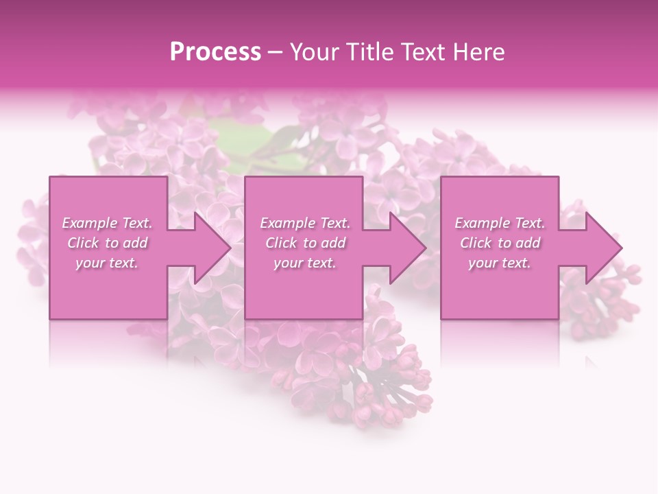 Beauty Lilac Branch PowerPoint Template