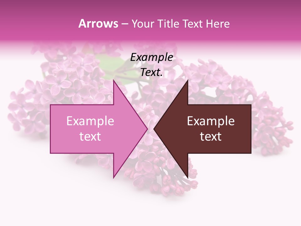 Beauty Lilac Branch PowerPoint Template