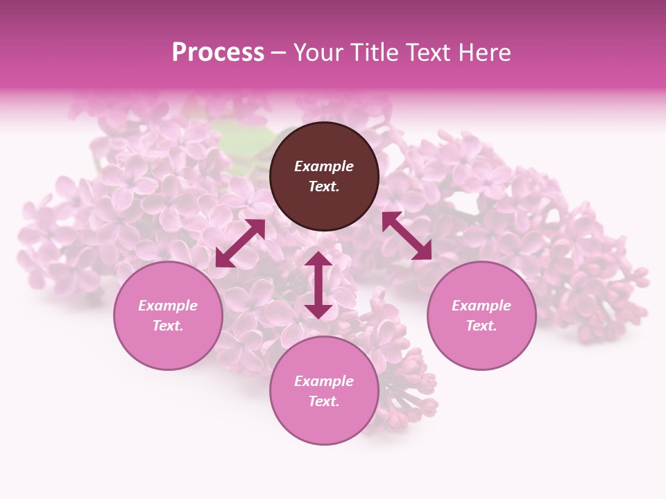 Beauty Lilac Branch PowerPoint Template