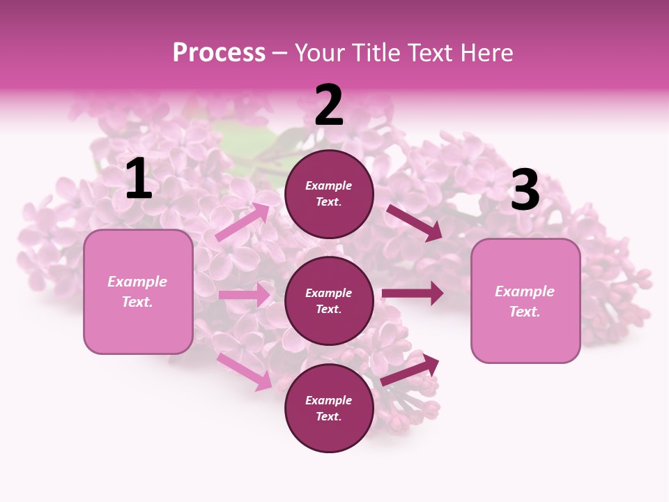 Beauty Lilac Branch PowerPoint Template