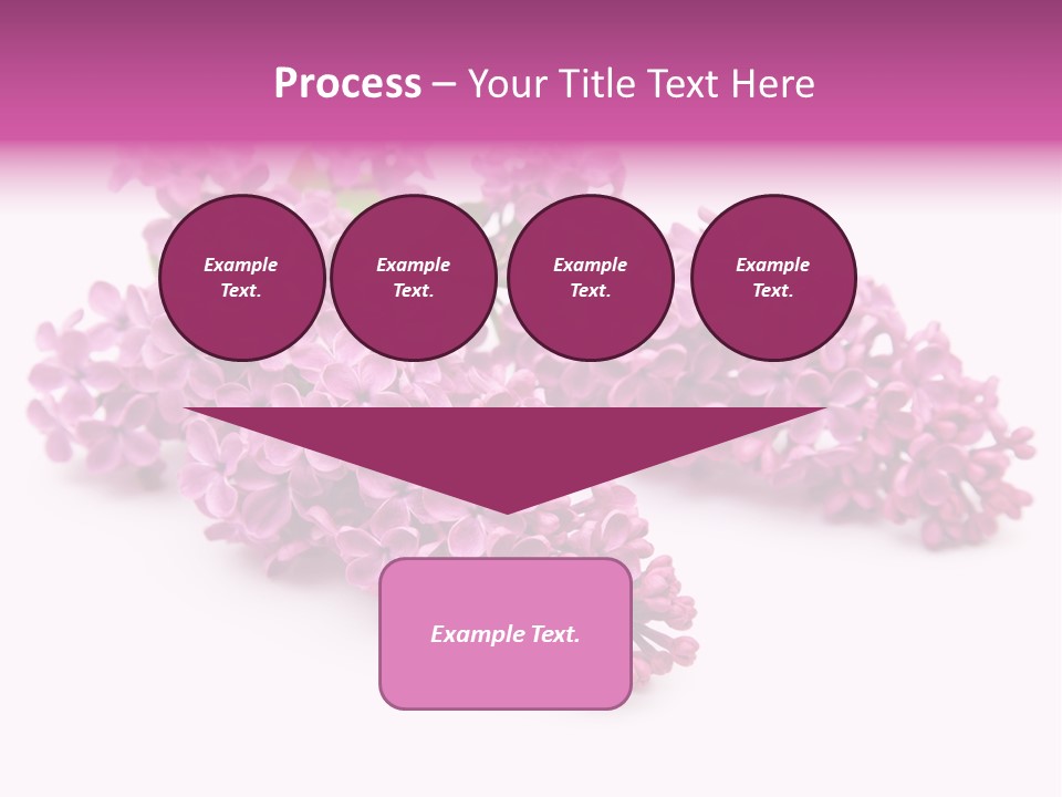 Beauty Lilac Branch PowerPoint Template