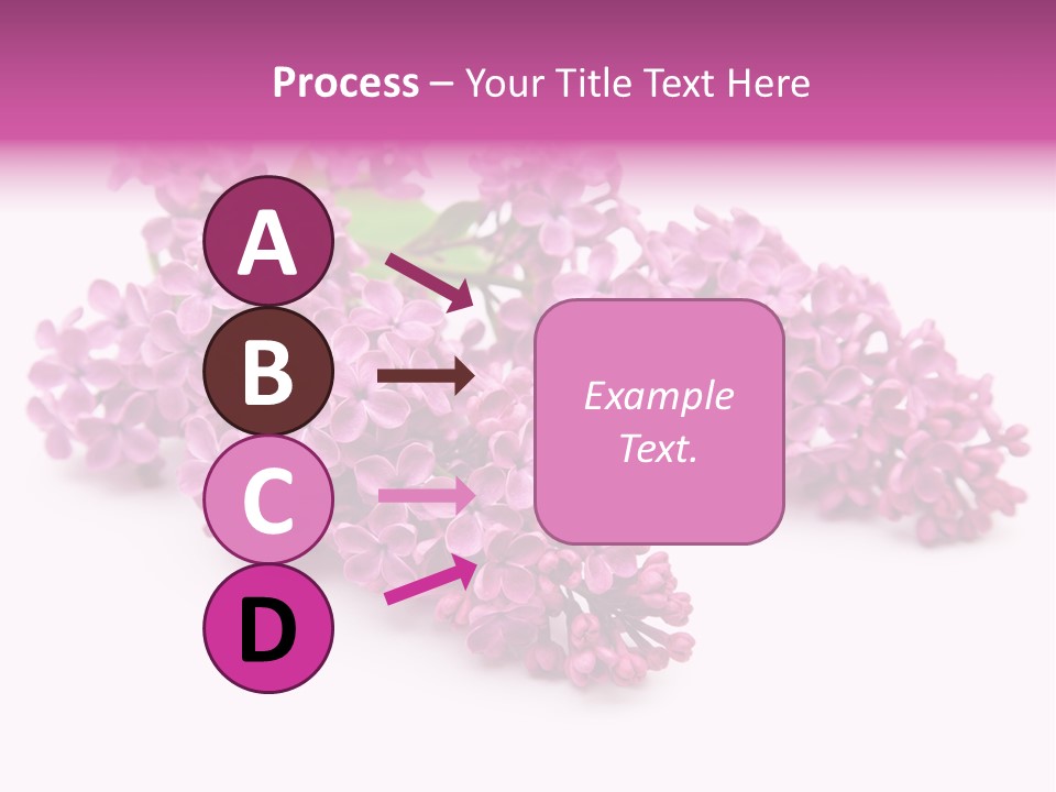 Beauty Lilac Branch PowerPoint Template