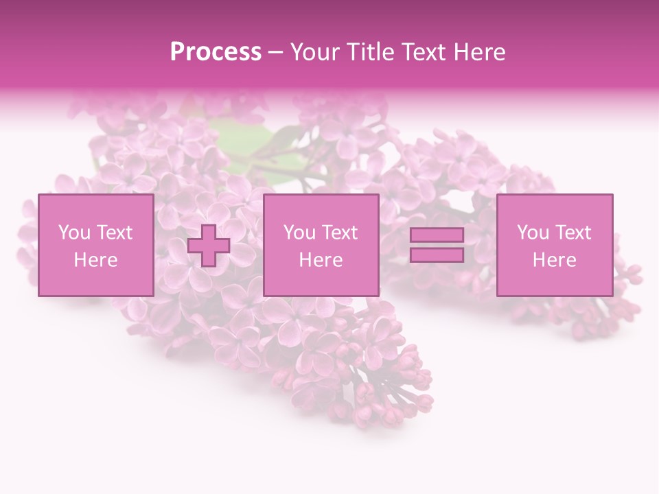 Beauty Lilac Branch PowerPoint Template