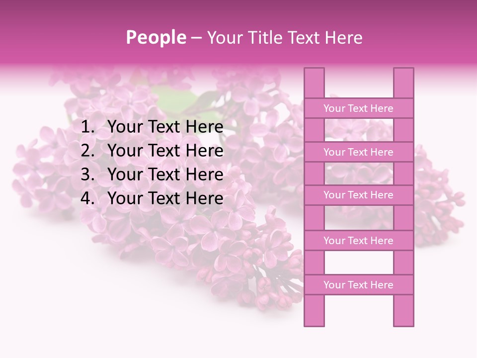 Beauty Lilac Branch PowerPoint Template