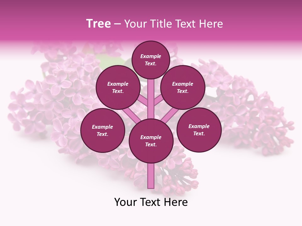 Beauty Lilac Branch PowerPoint Template
