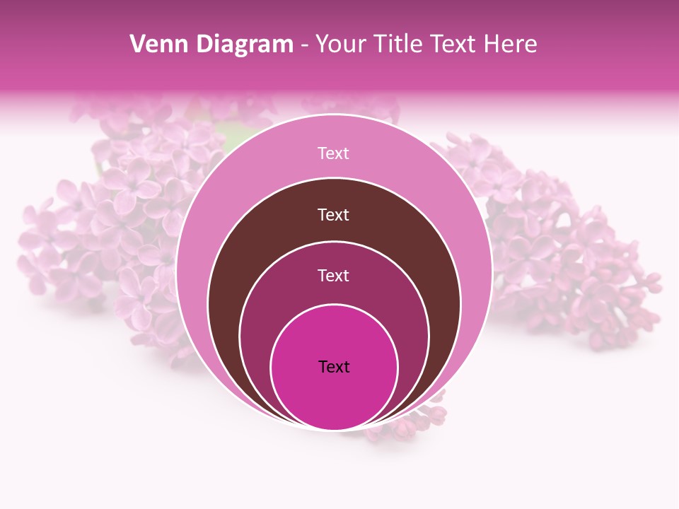 Beauty Lilac Branch PowerPoint Template