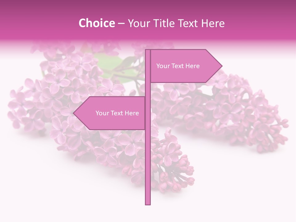 Beauty Lilac Branch PowerPoint Template