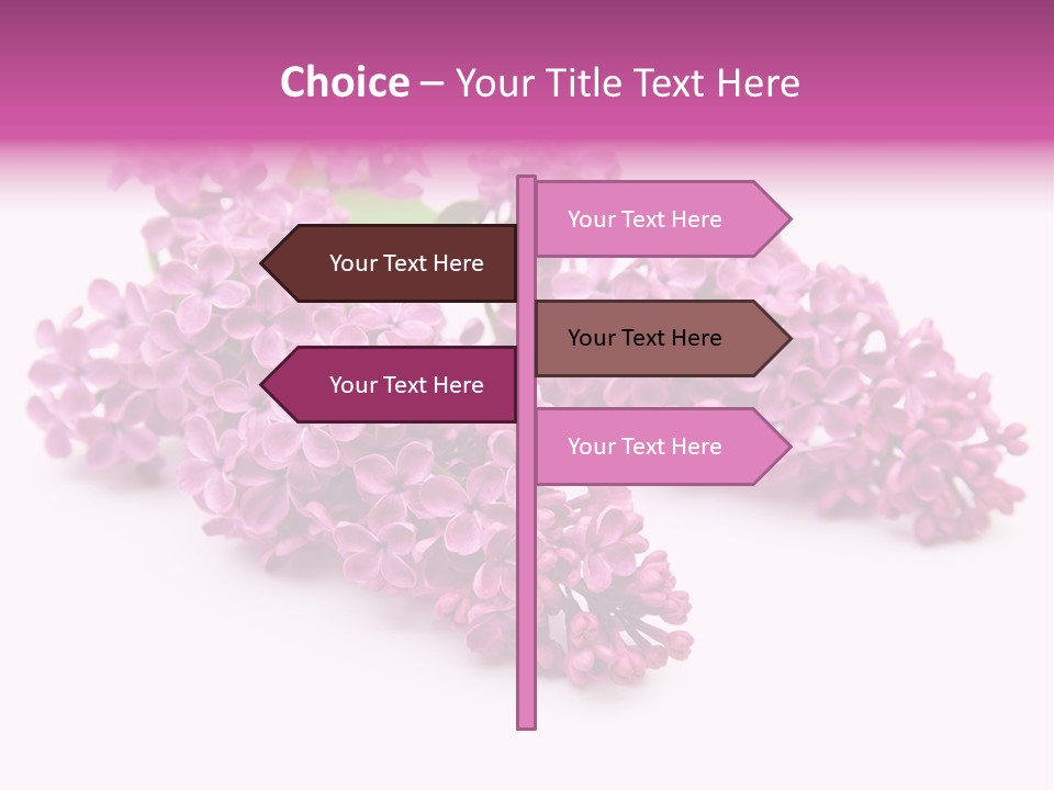 Beauty Lilac Branch PowerPoint Template