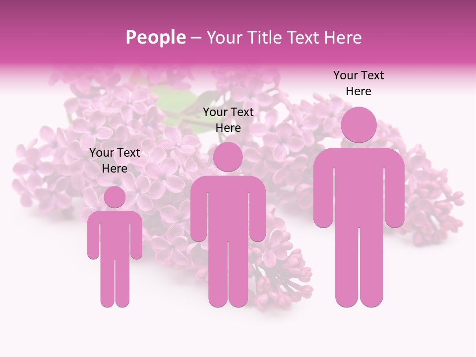 Beauty Lilac Branch PowerPoint Template