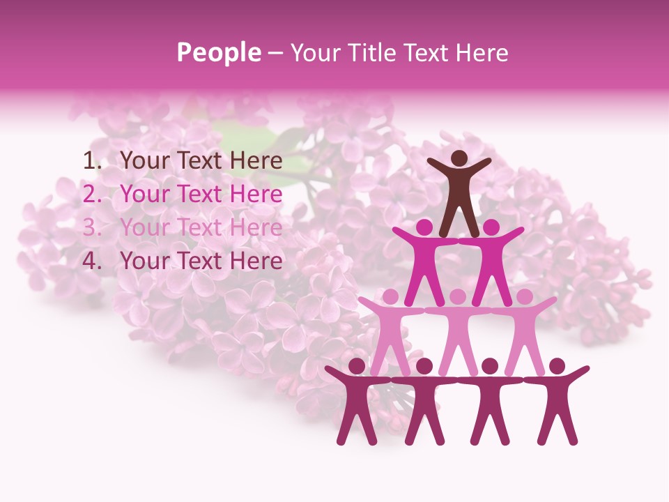 Beauty Lilac Branch PowerPoint Template