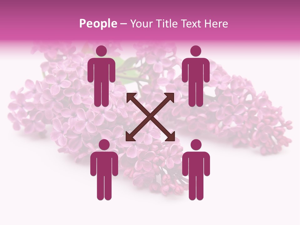 Beauty Lilac Branch PowerPoint Template