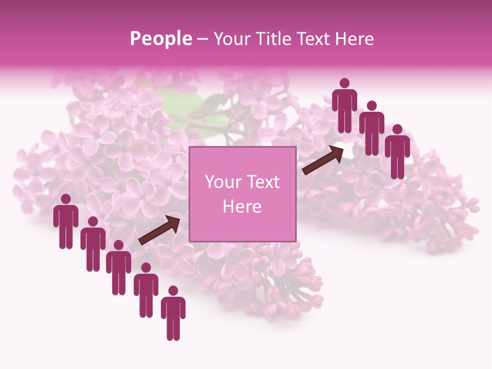 Beauty Lilac Branch PowerPoint Template