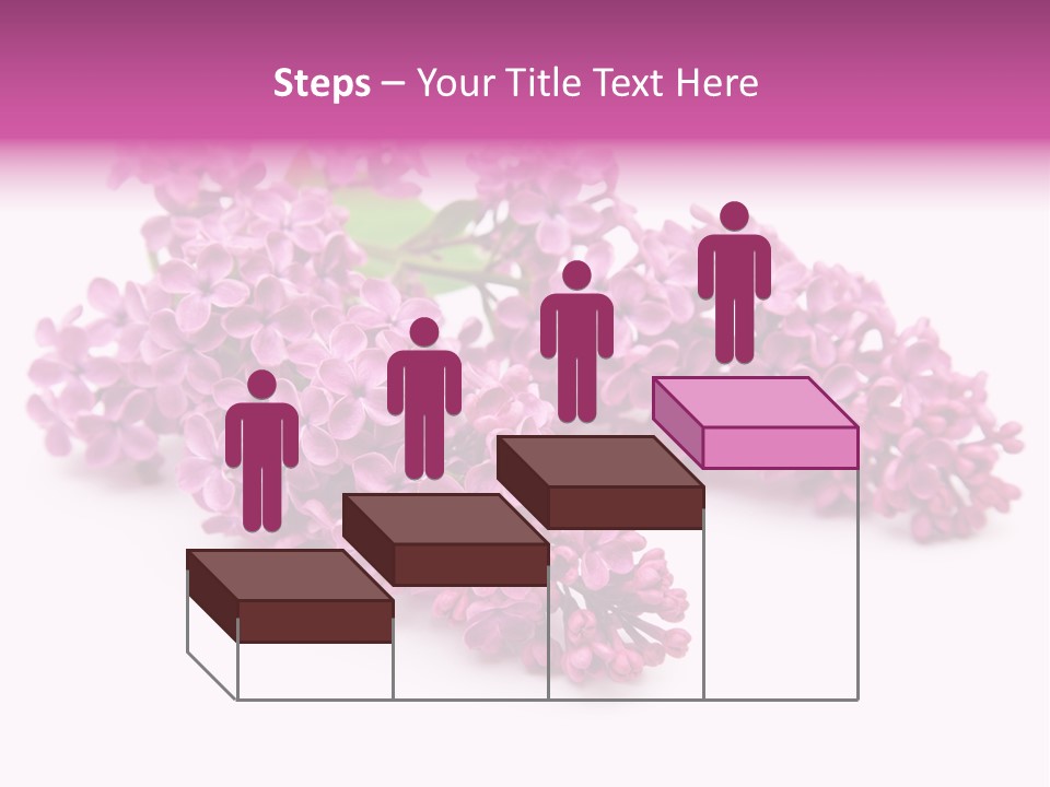 Beauty Lilac Branch PowerPoint Template