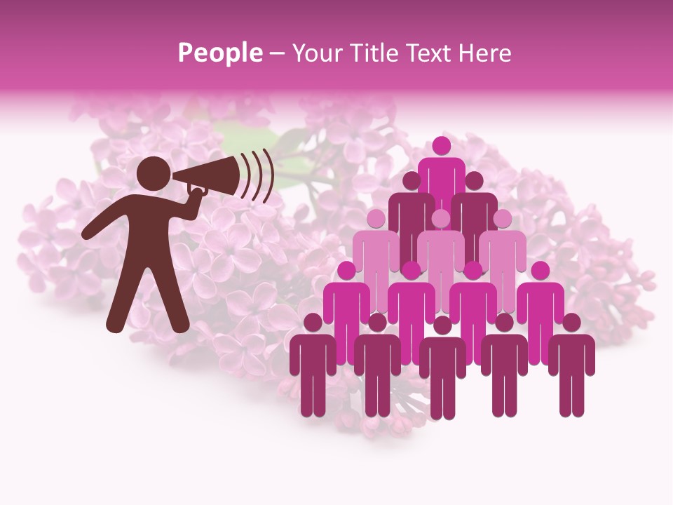 Beauty Lilac Branch PowerPoint Template