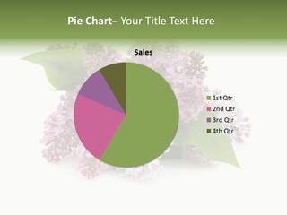 Green Lilac Purple PowerPoint Template