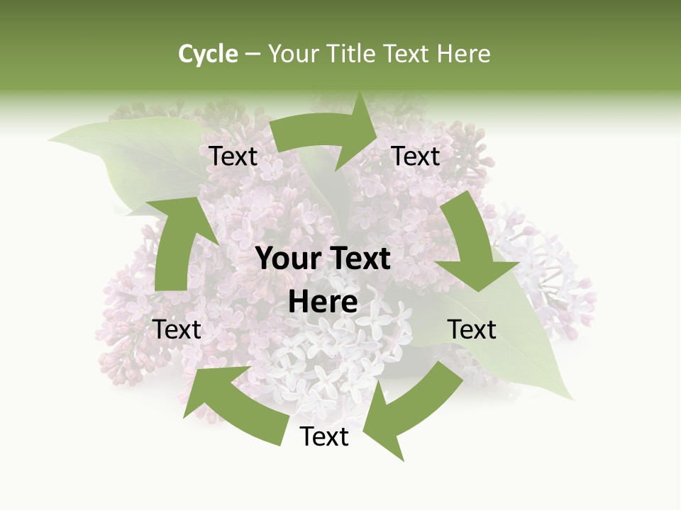 Green Lilac Purple PowerPoint Template