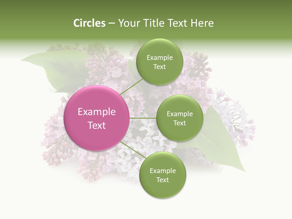 Green Lilac Purple PowerPoint Template