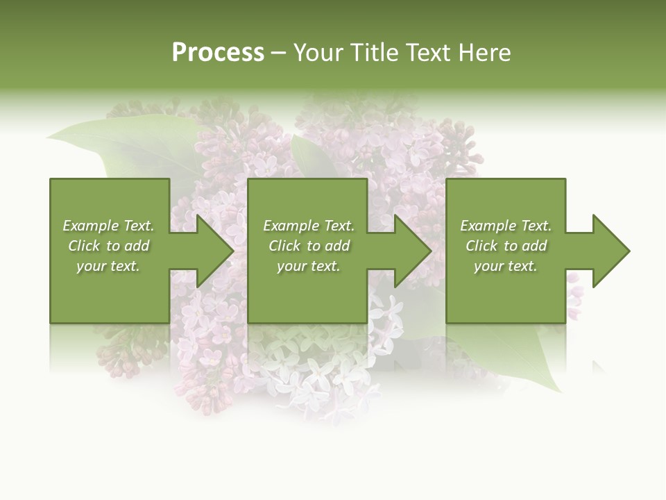 Green Lilac Purple PowerPoint Template