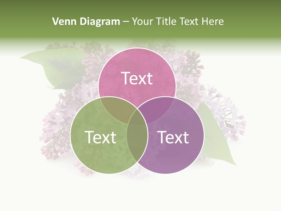 Green Lilac Purple PowerPoint Template