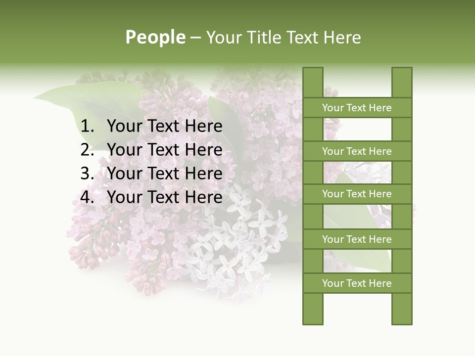 Green Lilac Purple PowerPoint Template