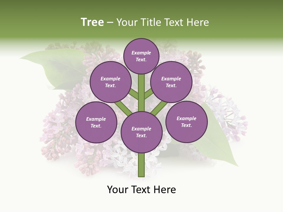 Green Lilac Purple PowerPoint Template