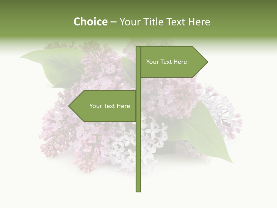 Green Lilac Purple PowerPoint Template