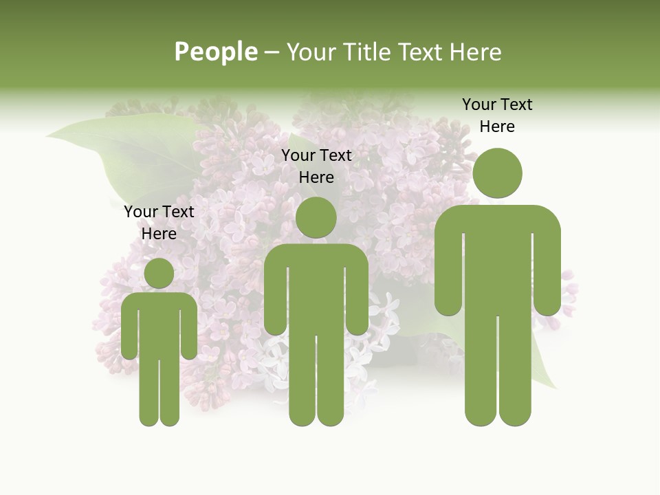 Green Lilac Purple PowerPoint Template