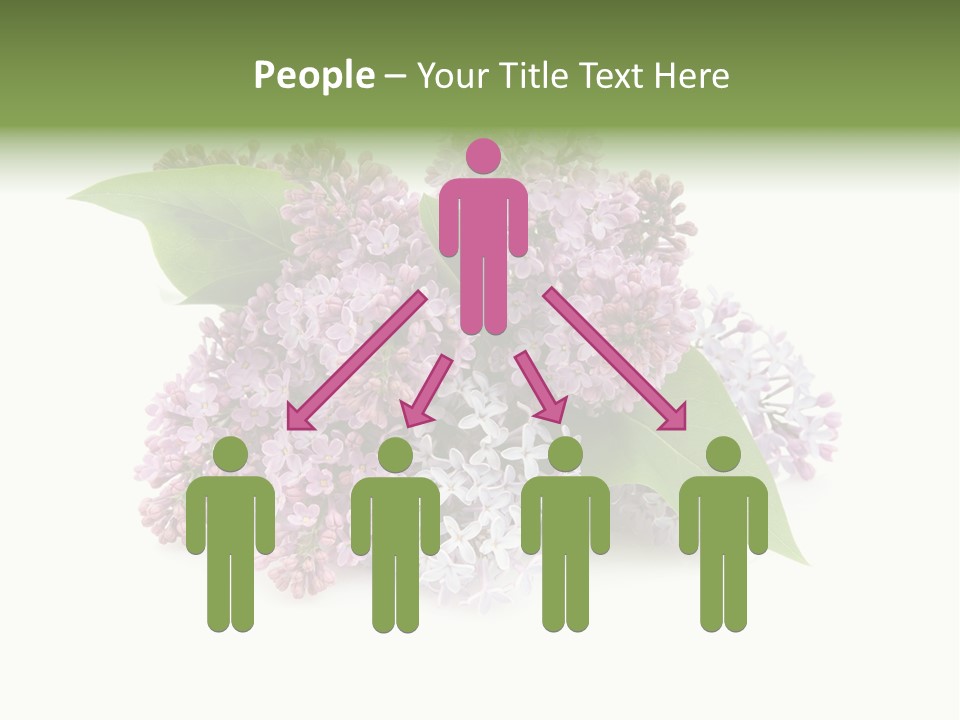 Green Lilac Purple PowerPoint Template