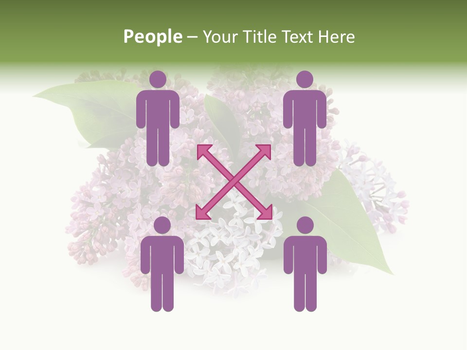 Green Lilac Purple PowerPoint Template