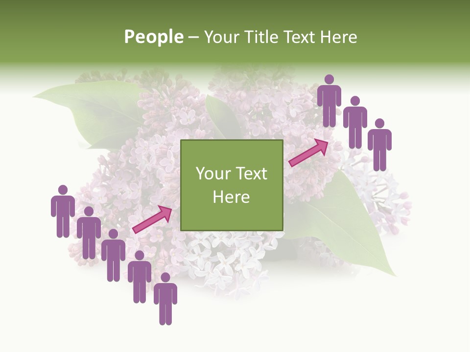 Green Lilac Purple PowerPoint Template