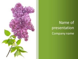 White Blossom Botanical PowerPoint Template